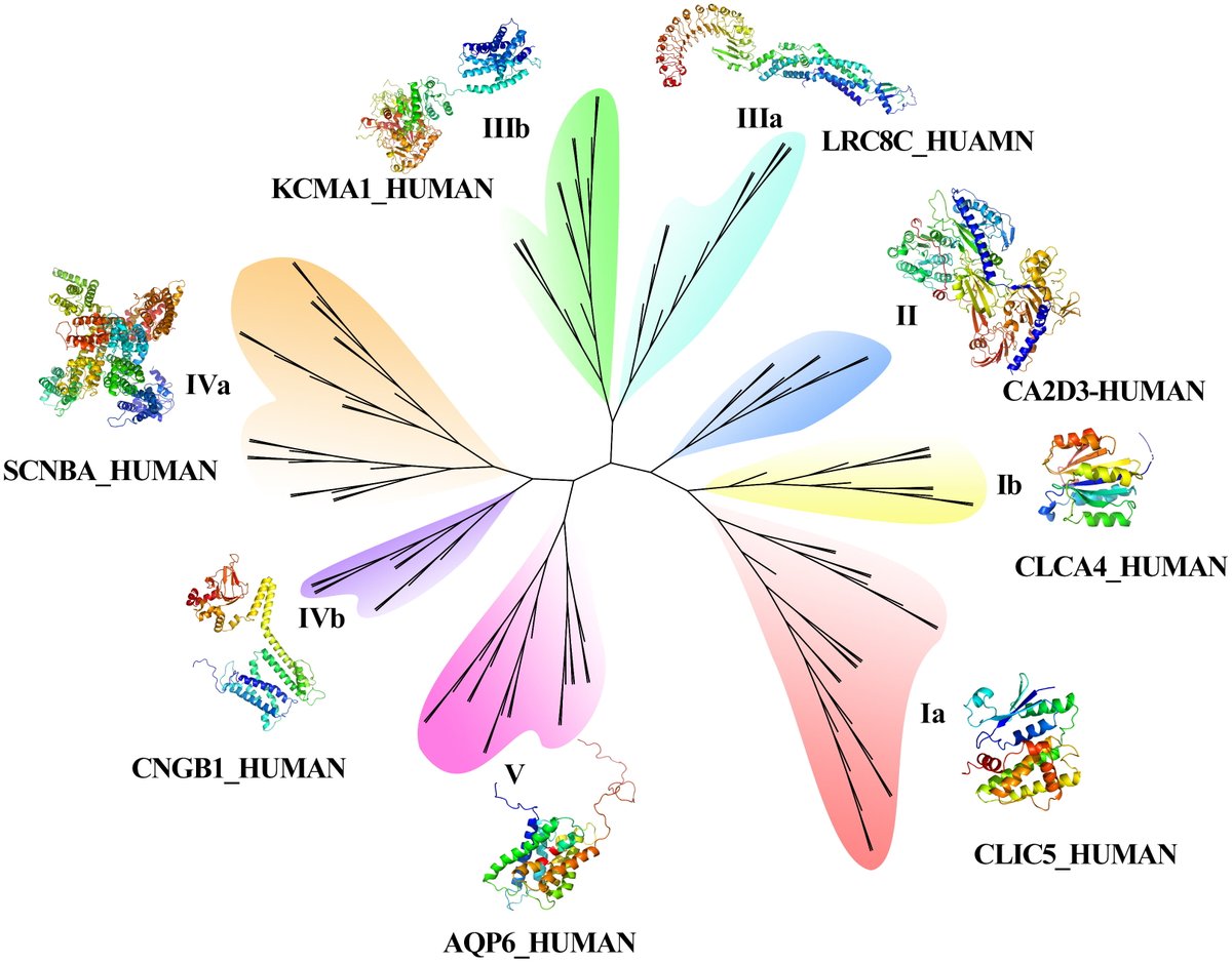 Landmark_IMR's tweet photo. Welcome to read🆕Sequence-Based Prediction with Feature Representation Learning and Biological Function Analysis of Channel Proteins, by  Mingai Sun, Lijun Zhang et al.
https://t.co/BYNygUArvx
#MachineLearning #channelproteins #PPInetwork #Prediction https://t.co/jLx9s44BFd