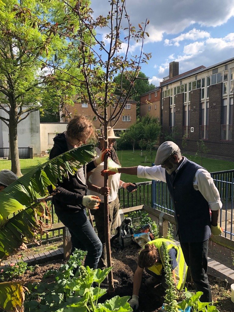 XRLambeth's tweet photo. Research on #UrbanFarming shows vegetation of the right kinds are especially good for sequestering carbon from the atmosphere, regulating microclimates, harbouring biodiversity, encouraging pollination, restoring soils, &amp; can even mitigate natural disasters, explains @DanEvansol https://t.co/yCLoqwTaRy