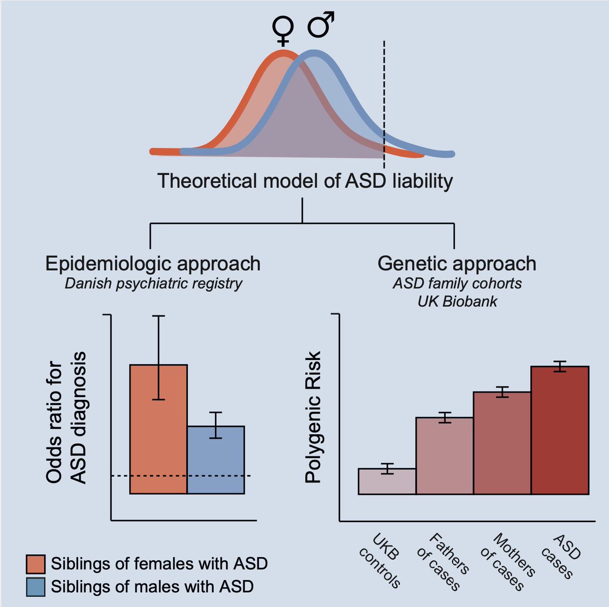 EmilieWigdor's tweet photo. I’m sample(c("thrilled", "honoured", "#blessed", "proud"), 1) to announce our work on the female protective effect (FPE) in autism spectrum disorder (ASD) is out in Cell Genomics 🎉 🧵 (1/11)
https://t.co/2YpjkcN25S https://t.co/wfHTIDA3cP