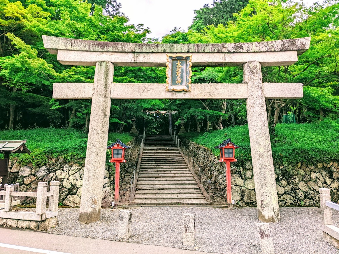 kyo_kanko's tweet photo. ＼大原野神社の青もみじと京都の「モネの睡蓮」と呼ばれる庭園／
大原野神社にある鯉沢の池は、赤い太鼓橋と睡蓮が映える池泉回遊式庭園で、京都の「モネの睡蓮」とも呼ばれています。本殿前では狛犬ならぬ狛鹿が参拝者を出迎えてくれます。その理由とは・・・？
https://t.co/BVjf0BQ55N https://t.co/bZheWcSipO