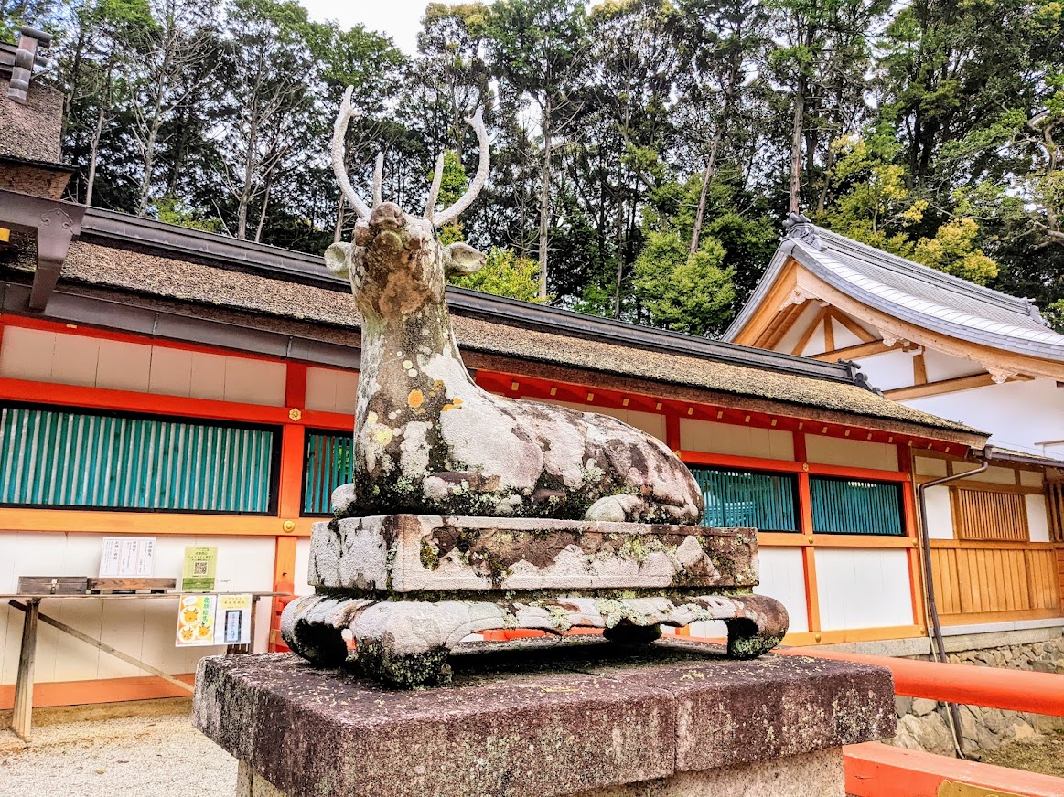kyo_kanko's tweet photo. ＼大原野神社の青もみじと京都の「モネの睡蓮」と呼ばれる庭園／
大原野神社にある鯉沢の池は、赤い太鼓橋と睡蓮が映える池泉回遊式庭園で、京都の「モネの睡蓮」とも呼ばれています。本殿前では狛犬ならぬ狛鹿が参拝者を出迎えてくれます。その理由とは・・・？
https://t.co/BVjf0BQ55N https://t.co/bZheWcSipO