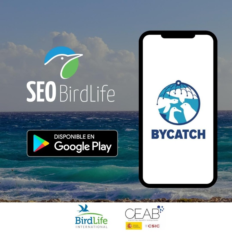 SEO_BirdLife's tweet photo. 🎣 Con la app #Bycatch tratamos de facilitar el registro de las capturas accidentales en el océano y frenar la muerte de aves y otras especies protegidas. @ceabcsic
📲 Descarga gratuita⤵
🔗https://t.co/wpMitUQxc7
#Zepamar #OceanAlert