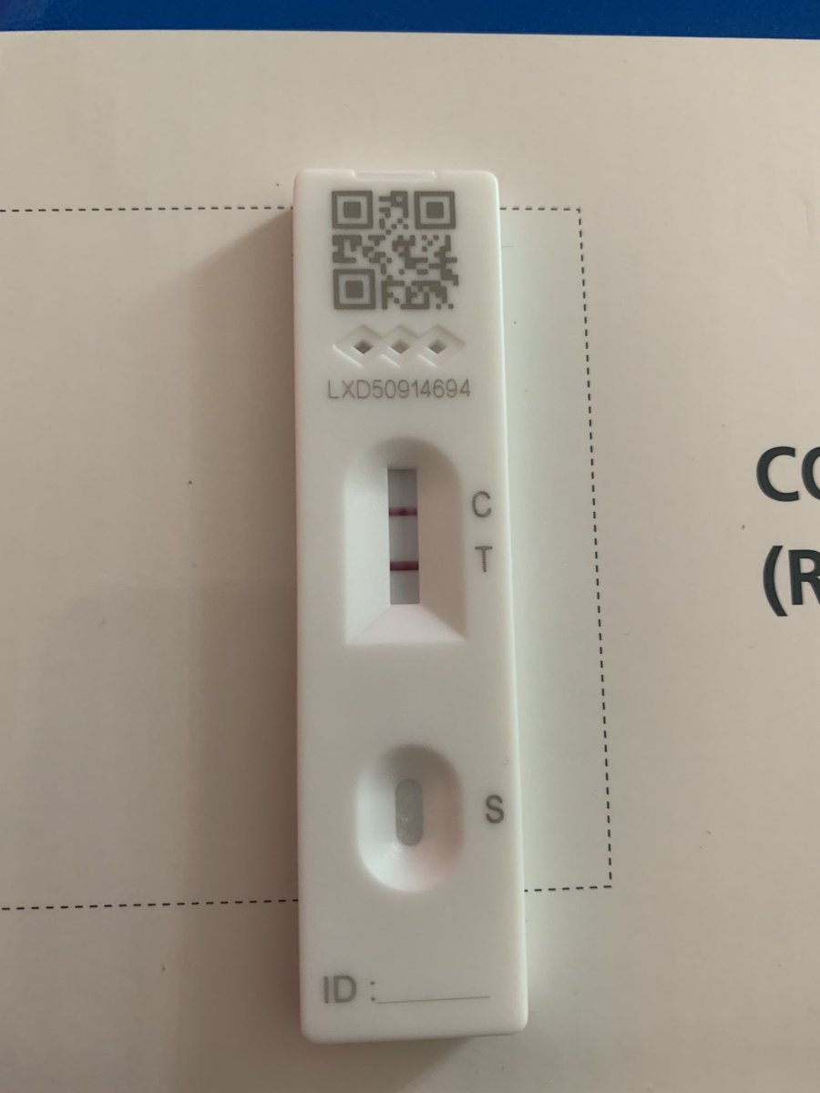 Louise Teboul tweet media