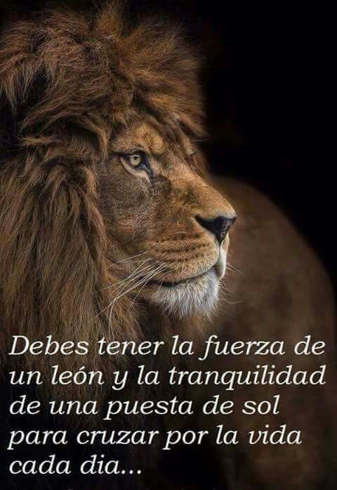 Daniel_g2020_SY's tweet photo. Una persona valiente crece y se forma atravesando tormentas y tiempos difíciles, RESISTE, INSISTE Y PERSISTE 💪 

Su lema es: TODO LO PUEDO EN DIOS QUE ME FORTALECE

💥"Lo que no te destruye te hace más fuerte"💥

Feliz Miércoles 😃 muchos éxitos en su día !!! https://t.co/yJuWQE2Svj