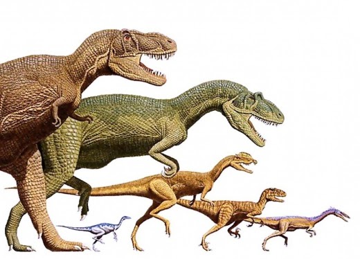 featunning's tweet image. Are you interested in doing a #PhD in geology studying the paleoecology and evolution of theropod dinosaurs? #morphometrics #biomechanics #fea #phdpositions
Deadline application: 30th June
Contact me at jordi.marce@urv.cat 
👉 +info: shorturl.at/qDFX2