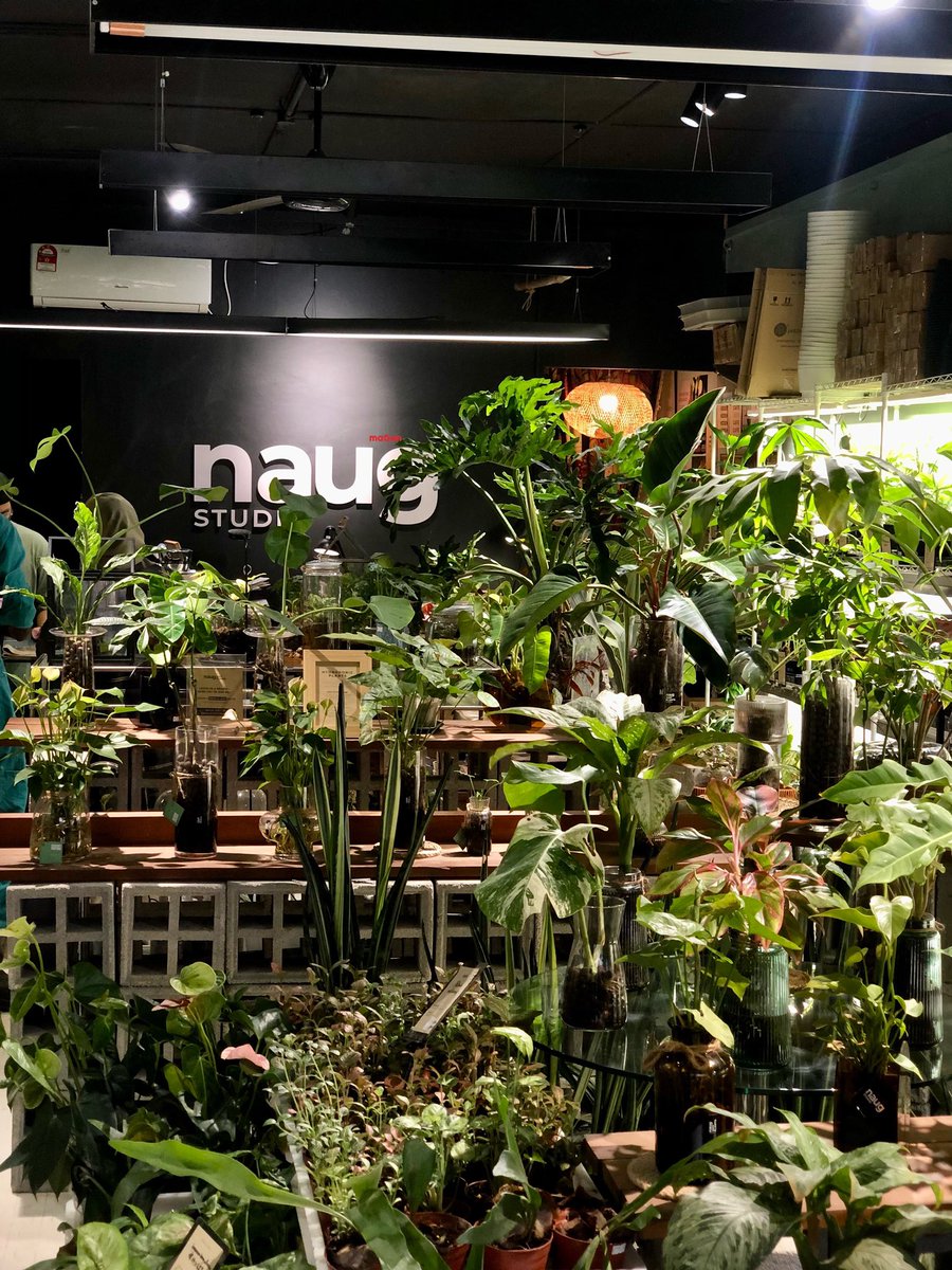 maqanmy's tweet photo. Psstt: Guys kalau kesini jangan ramai-ramai tau sebab seating limited tau. Anyway ambil gambar disini ialah perkara wajib. Cantik kot!
.
🍽Knock by Naug 
📍 No 50, Jalan Tan Hiok Nee, Bandar Johor Bahru
⏰10:00 AM - 6:00 PM
.
Instagram Knock by Naug,
https://t.co/qiXMQmf44X https://t.co/KwJDAZe3ok
