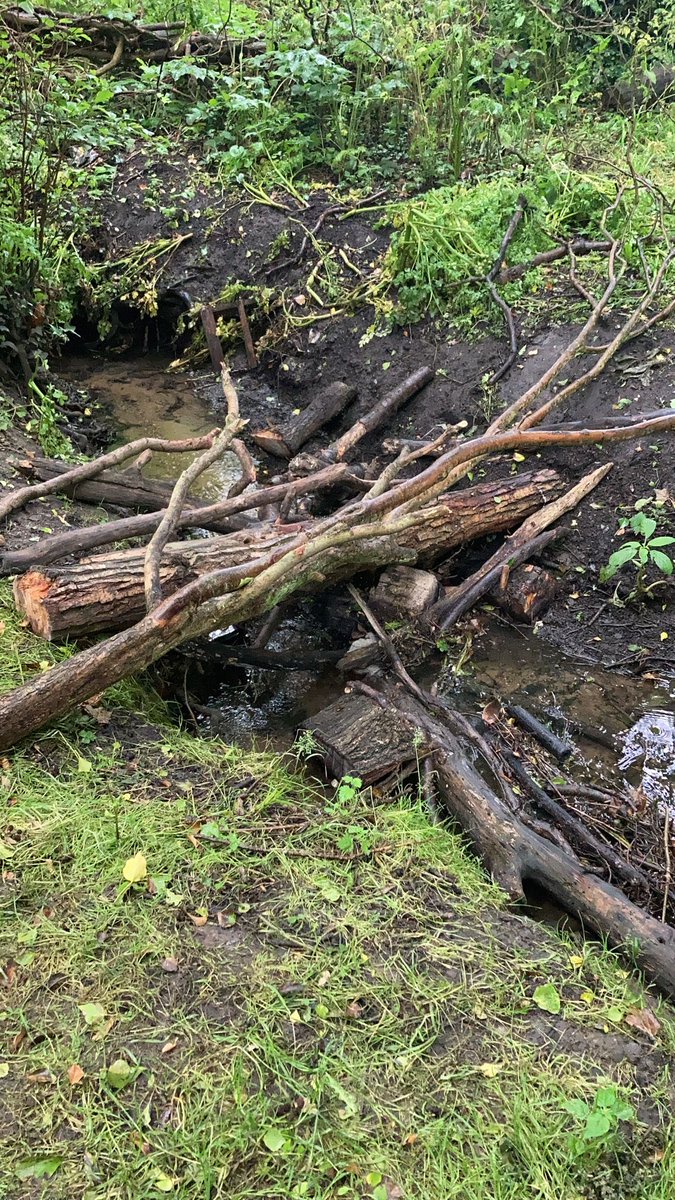 DeTom48's tweet photo. Before and after #KenningtonStream #Ashford some children had a bit of fun, sadly this blockage has the potential to cause flooding. If you see a blockage call our hotline number 0800807060 ⁦@EnvAgencySE⁩ ⁦@AshfordCouncil⁩ ⁦@Kent_cc⁩ https://t.co/3iuTHAyOXh