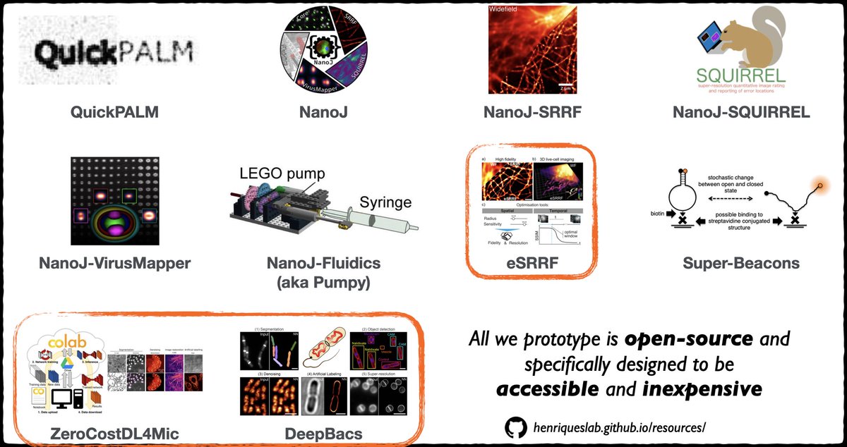 Ricardo Henriques tweet media
