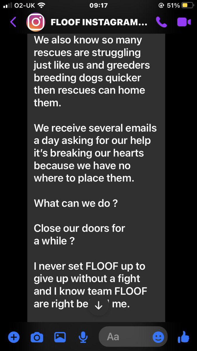 For The Love Of Our Frenchies tweet media