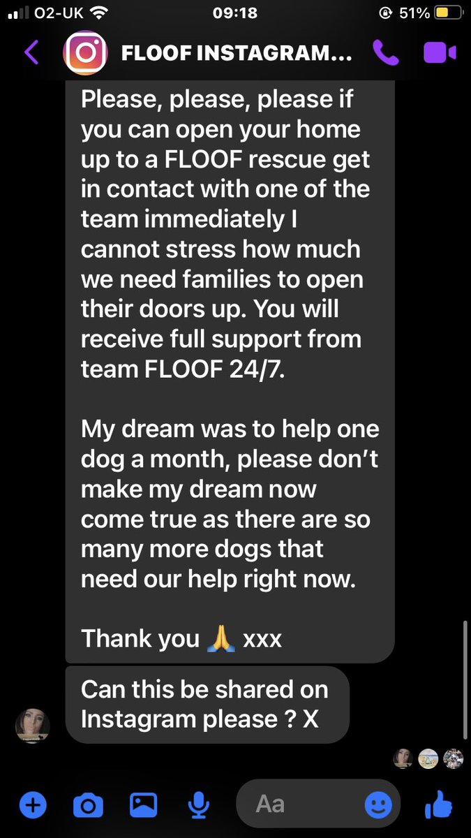 For The Love Of Our Frenchies tweet media