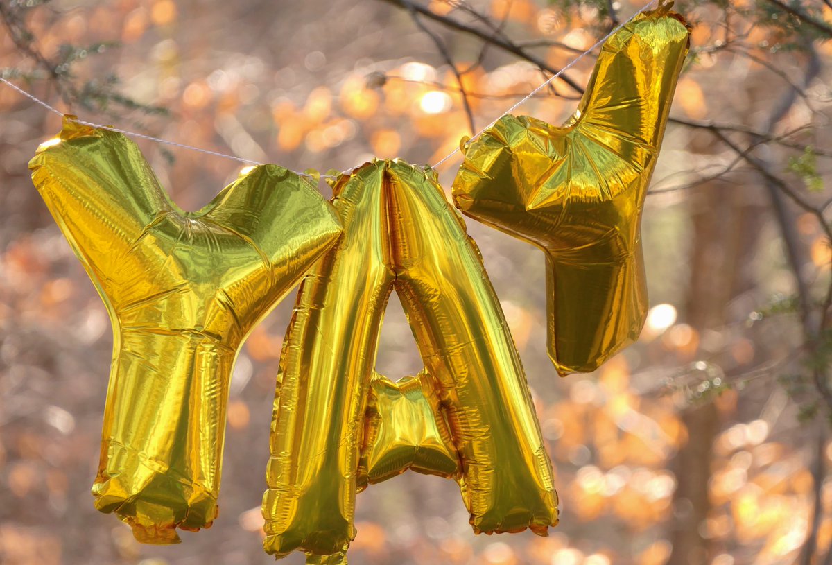 ConservationRUK's tweet photo. With CR's reward scheme you get points in 3 ways - by signing up to receive our newsletters, following us on social media &amp; buying from us. Redeem them on anything on our website + you get extra points on your birthday. #rewardscheme #loyalty #thankyou https://t.co/lhFf4QFE47