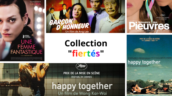 BBaronnet's tweet photo. À l'occasion du mois des fiertés, @francetvcinema dévoilera une nouvelle collection de films, le 23 juin, avec des films de Wong Kar Way (Happy Together), Ang Lee (Garçon d'honneur), Céline Sciamma (Naissance des pieuvres), Sebastian Lelio (Une femme fantastique) entre autres https://t.co/8ut24ll3Ka