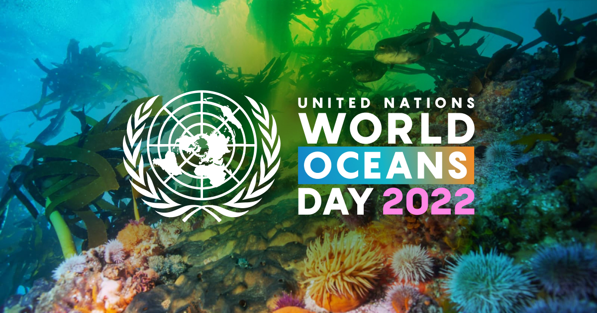 Ghigliottina's tweet photo. 🗓️ Oggi #8giugno è la #GiornataMondialeDegliOceani 🌊. Anche noi di https://t.co/jM1RCxgFMB sosteniamo il @WorldOceansDay: il tema 2022 è “Rivitalizzazione: Azione Collettiva per l'Oceano”.

#WorldOceansDay @danieladucato @gonufrio @nicolamoscheni @GassmanGassmann @RossellaMuroni https://t.co/gD3LJB8Bwq