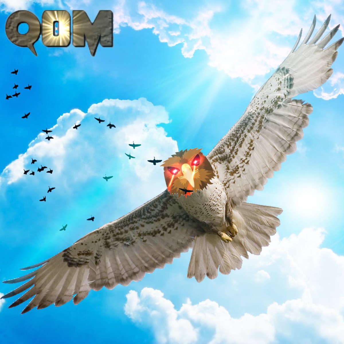 Riley_gnat's tweet photo. @gate_io The layer one is under construction and the word of the bird is quietly getting around $QOM https://t.co/UiMU2bGZZz