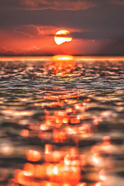 antotp's tweet photo. Nel mare dei dispiaceri #annegate i ricordi,
#mai le vostre vite.
Prima di tutto tu
(Antonella Trapani) https://t.co/T2XhgoClxQ