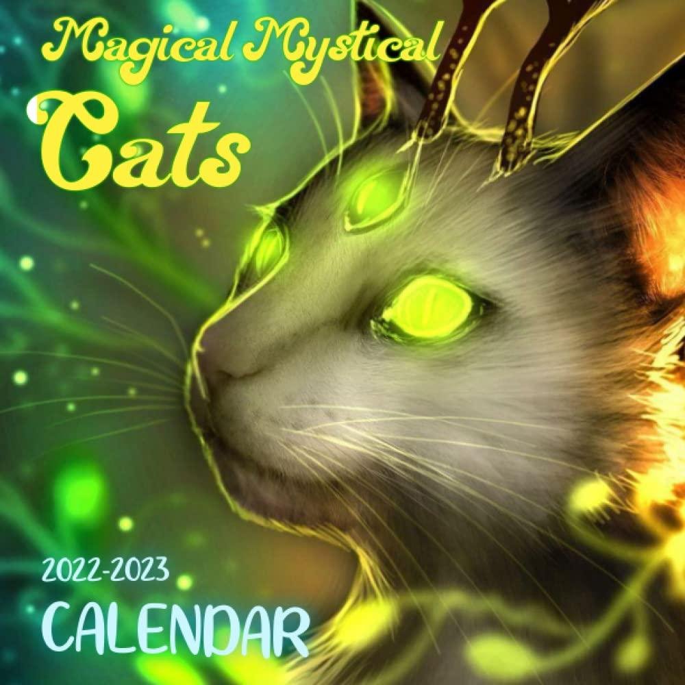 reading-books-magical-mystical-cats-calendar-2022-magical-mystical-cats-twitter