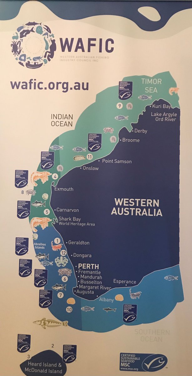Clara_Obregon's tweet photo. Happy #WorldOceansDay ๐ ๐ ๐ฃ ! In #WA we celebrated it with the @MSCecolabel certification of the enhanced greenlip abalone from #RareFoods - a 1st in Australia and globally ๐ ๐
Thanks to @MSCbluefishtick @waseafood @DPIRDWA and many others for such a great event! https://t.co/fzyNgnmxsJ