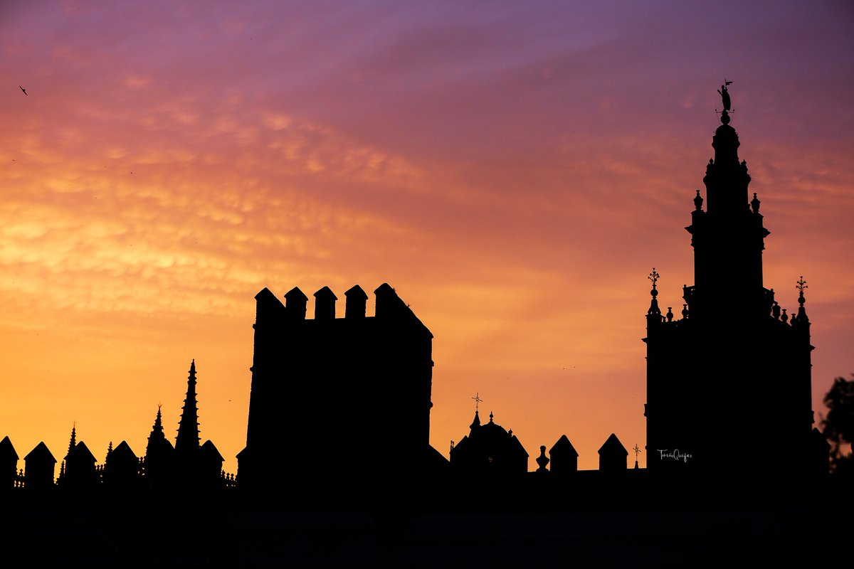 TQuifes's tweet photo. 'Para enamorarse de Sevilla no hace falta ser andaluz, hasta un marciano se enamoraría de esta ciudad'.♥

© Tomás Quifes https://t.co/KkTaQvgZ5E