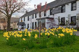 WalkCycleConnect tweet media