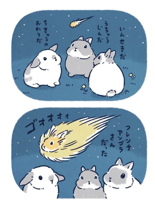 ☄️🐰 