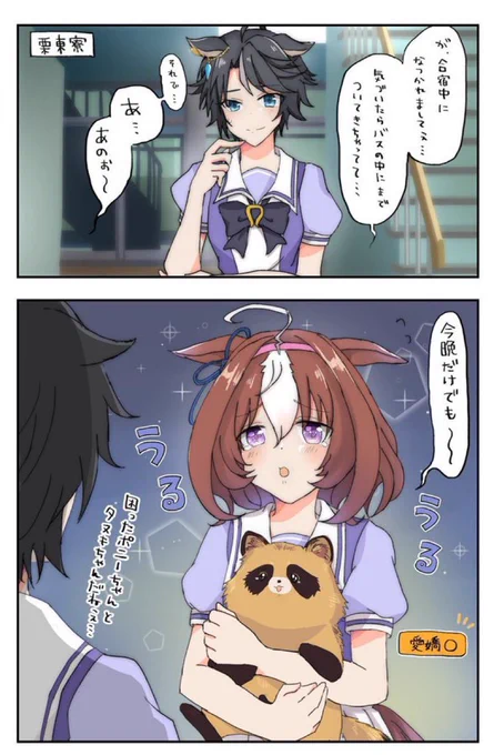 #これを見た人は自分がかわいいと思う画像を1枚貼れ  #ウマ娘 
フジキセキvsメイショウドトウとタヌキ 