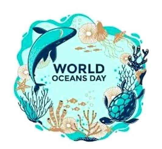 annepenguina's tweet photo. There are a lot of days, but this is one at the heart of ⁦@The_OMEF⁩ . The foundation set up to support conservation and research . A moments thought and maybe catch the website. Research being done with funds from OMEF as we speak ! https://t.co/YFv1qYiPG1
