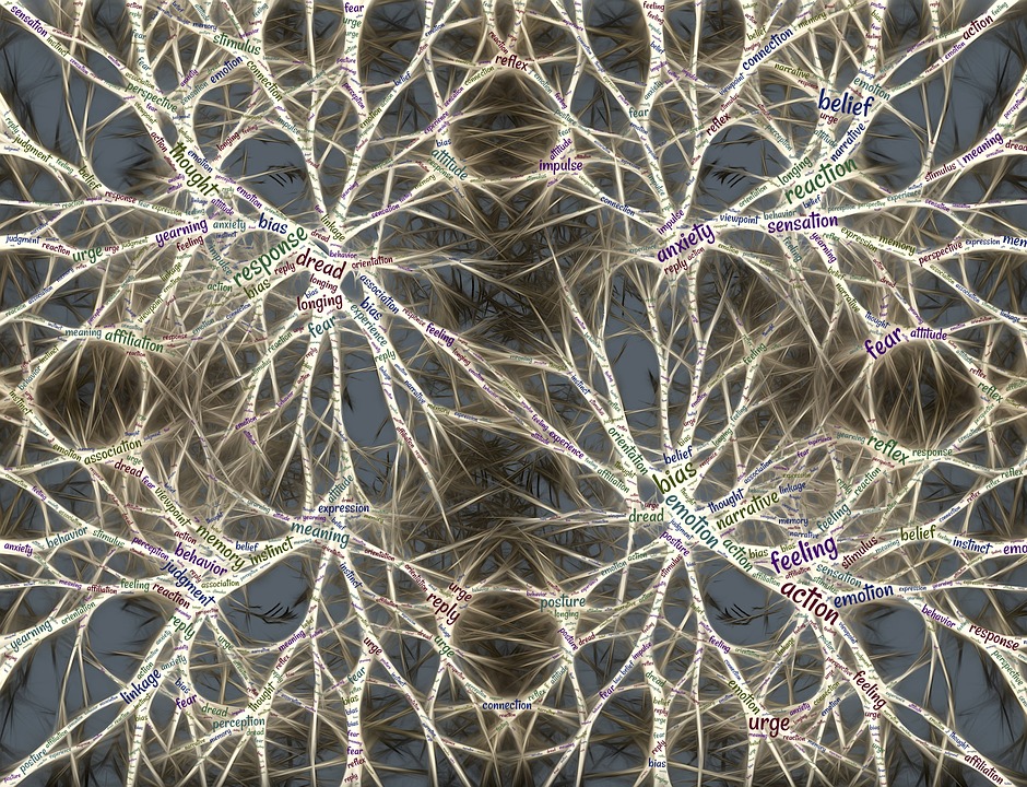Razón y fe (@RazonFe) on Twitter photo 2022-06-08 08:44:33 ¿Qué aporta la neurociencia a la pregunta por Dios? ¿Qué nos dice acerca del origen de la fe? ¿Cuál es la relación entre ambas? Se pregunta José Manuel Caamaño, @TeoComillas, en su artículo sobre las implicaciones teológicas de la neurociencia. revistas.comillas.edu/index.php/razo… ¿Qué aporta la neurociencia a la pregunta por Dios? ¿Qué nos dice acerca del origen de la fe? ¿Cuál es la relación entre ambas? Se pregunta José Manuel Caamaño, @TeoComillas, en su artículo sobre las implicaciones teológicas de la neurociencia. revistas.comillas.edu/index.php/razo…