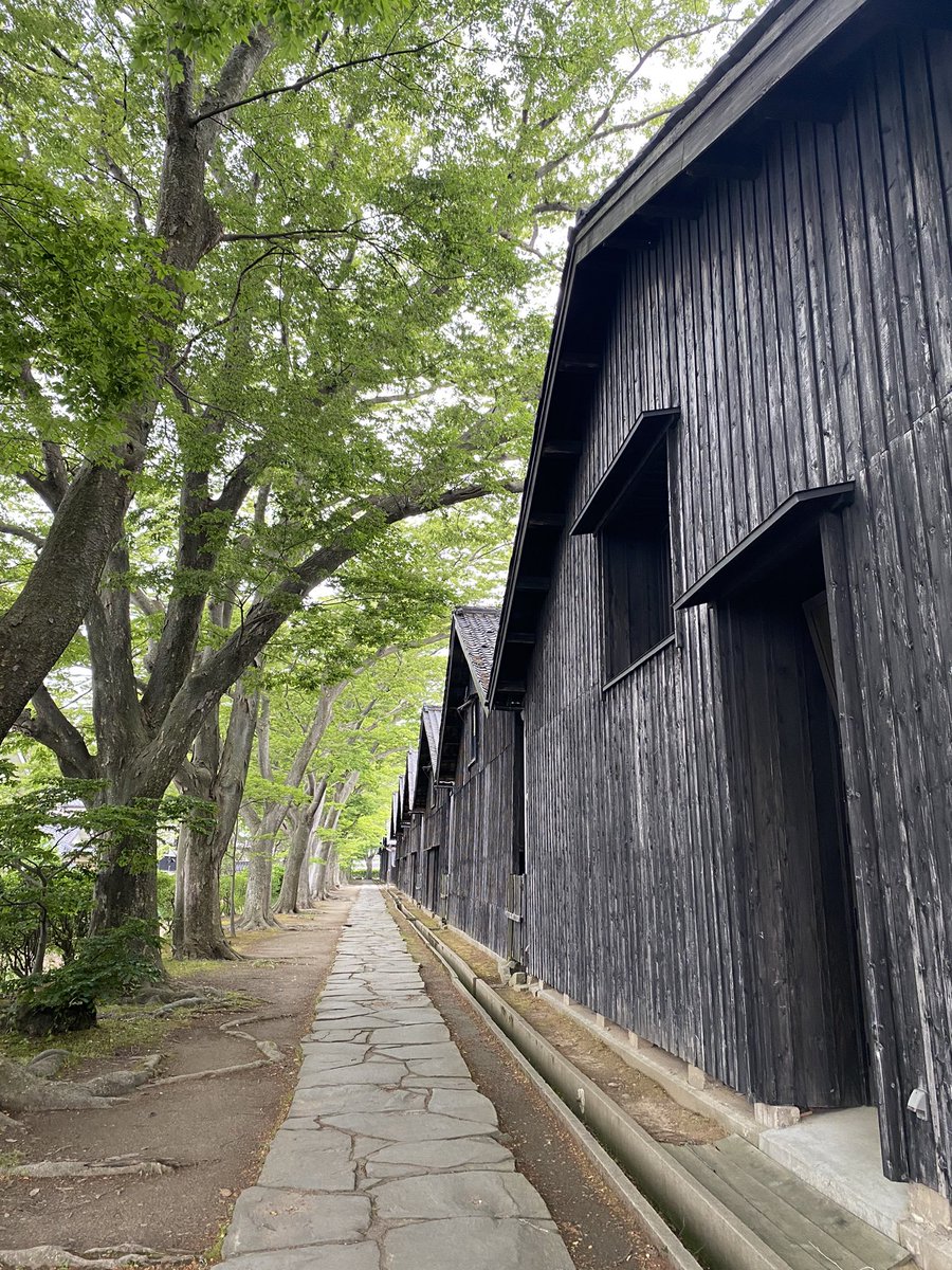 Phase5161969's tweet photo. 先日のオフにゆうだいと酒田市に行ってきました！
最高の気分転換になりました😊
つぎは庄内町か鮭川村に行きたいと思います！

#モンテディオ山形
#酒田市
#35市町村アンバサダー 
#庄内地域
#さかた海鮮市場
#山居倉庫 https://t.co/9J0qYsok3D