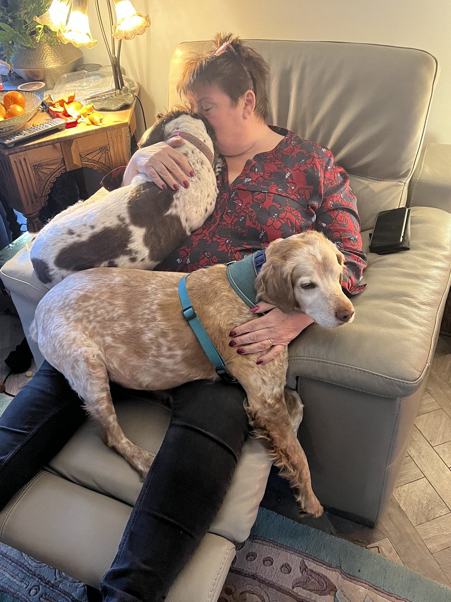 SpanielsSuper's tweet photo. @VBarber11 Err! Don’t you go promising Ronnie extra cuddles😤
Any extra he gets comes out of my cuddle ration ☹️
Sometimes we have to double up as it is🥺
Ronnie gets more than enough cuddles 🥰 
It’s me who’s cuddle deprived 😢
And you’re suggesting he gets even more 😳
#NotFair #PoorMo https://t.co/gCAVVe0LIi