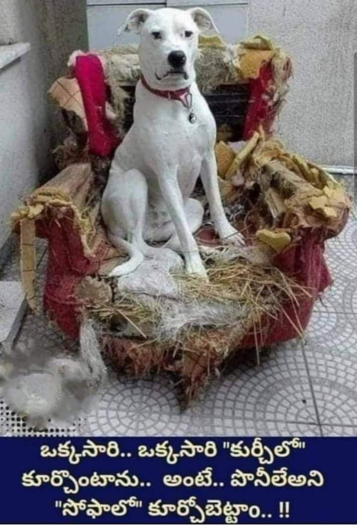 SeethaSrinivas5's tweet photo. @IamKodaliNani మీలాంటి చేత కాని దద్దమ్మలని రాజ్యఅధికారం లో కూర్చోబెడితే ఇలాగే ఉంటాది https://t.co/xqhtpV4bw3