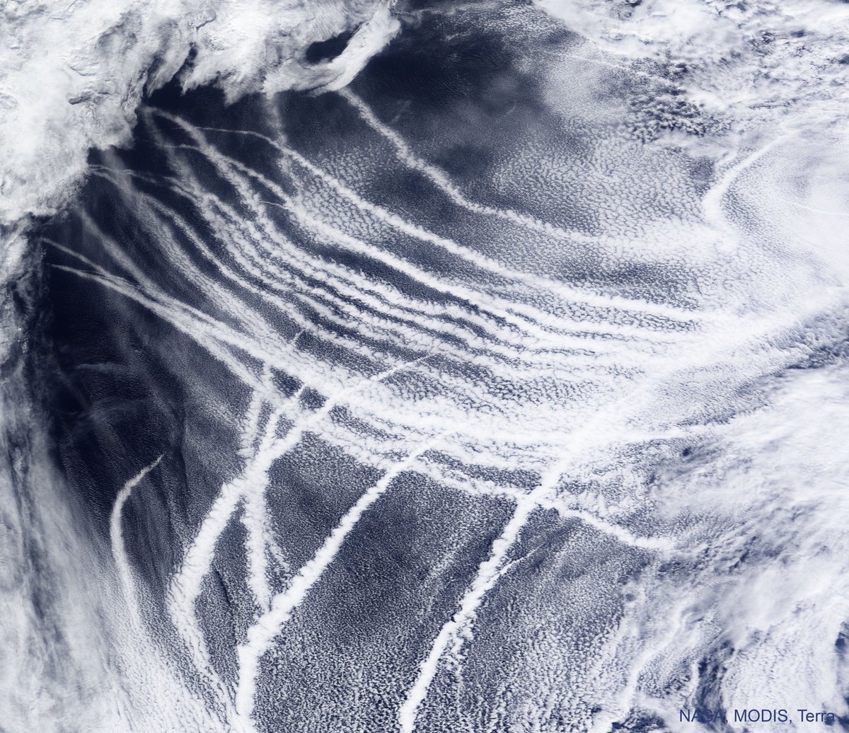 RosenthalEllery's tweet photo. #ShipTracks Over The Pacific Ocean https://t.co/PKTgB8xZYS