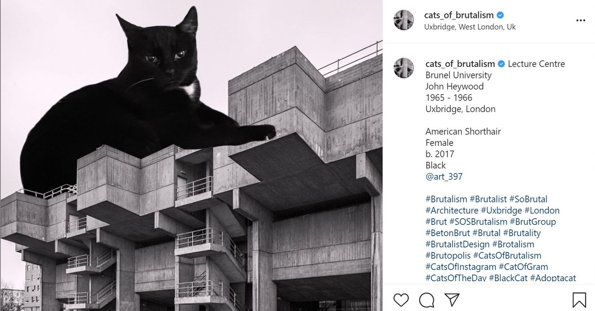 Brunel University Archives & Special Collections tweet media