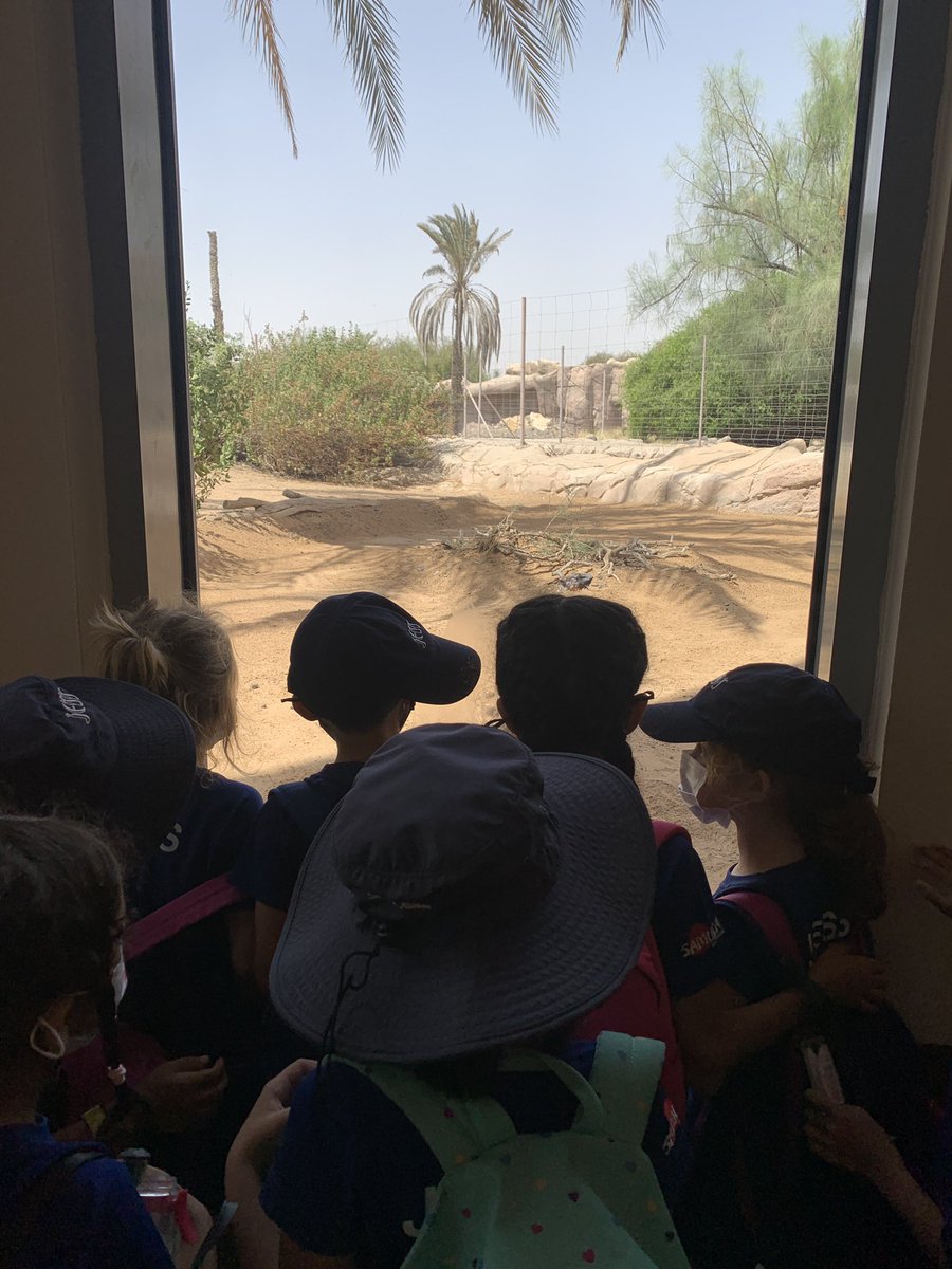 JESSJumeirahYR2's tweet photo. Year 2 having an exciting day at Sharjah Arabian Wildlife Centre learning about endangered Arabian species as part of our Go Wild topic! ROARRRR! #JESSJumScience https://t.co/KDRcLd3GgZ