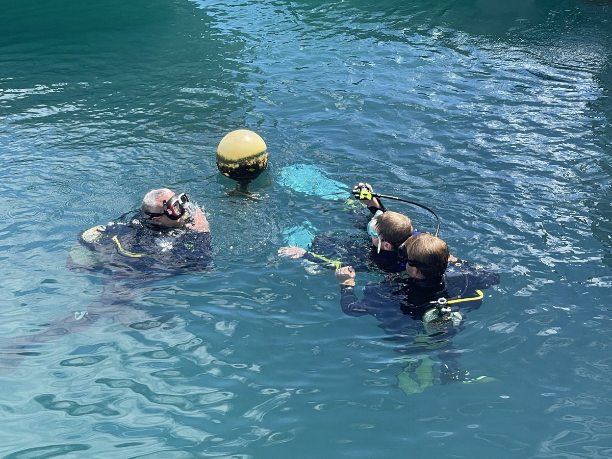 angiecockell's tweet photo. Thomas enjoyed a ‘discover scuba’ during half term on holiday in fuerteventura.
@DeepBlueDiving @WestBrettonJIPE https://t.co/jXsPtYAf7m