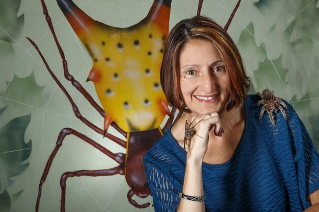 UCDavisEntomolo's tweet photo. “Eight-Legged Encounters” open house, featuring spiders and other arachnids, promises to be one of the biggest events--if not the leggiest!--of year on #ucdavis campus and beyond. 1-4 p.m., June 25, #Bohart Museum. #JasonBond #EileenHebets #BugSquad https://t.co/AhfCm4fnw3 https://t.co/BRnQG6vqHY