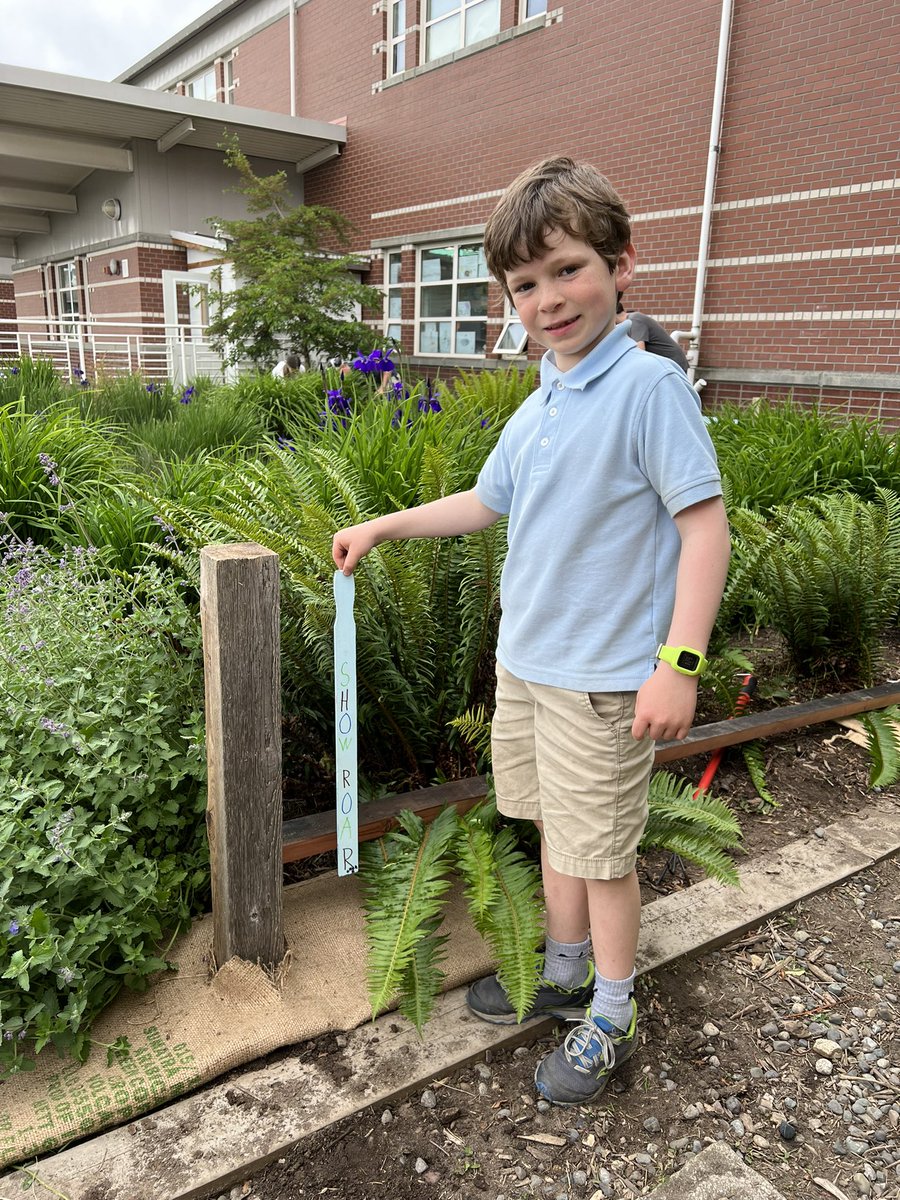 Students, parents, and staff working together in the rain garden during <a href="/ShermanSTEAM/">sherman STEAM</a> PBL night. We love our school community!