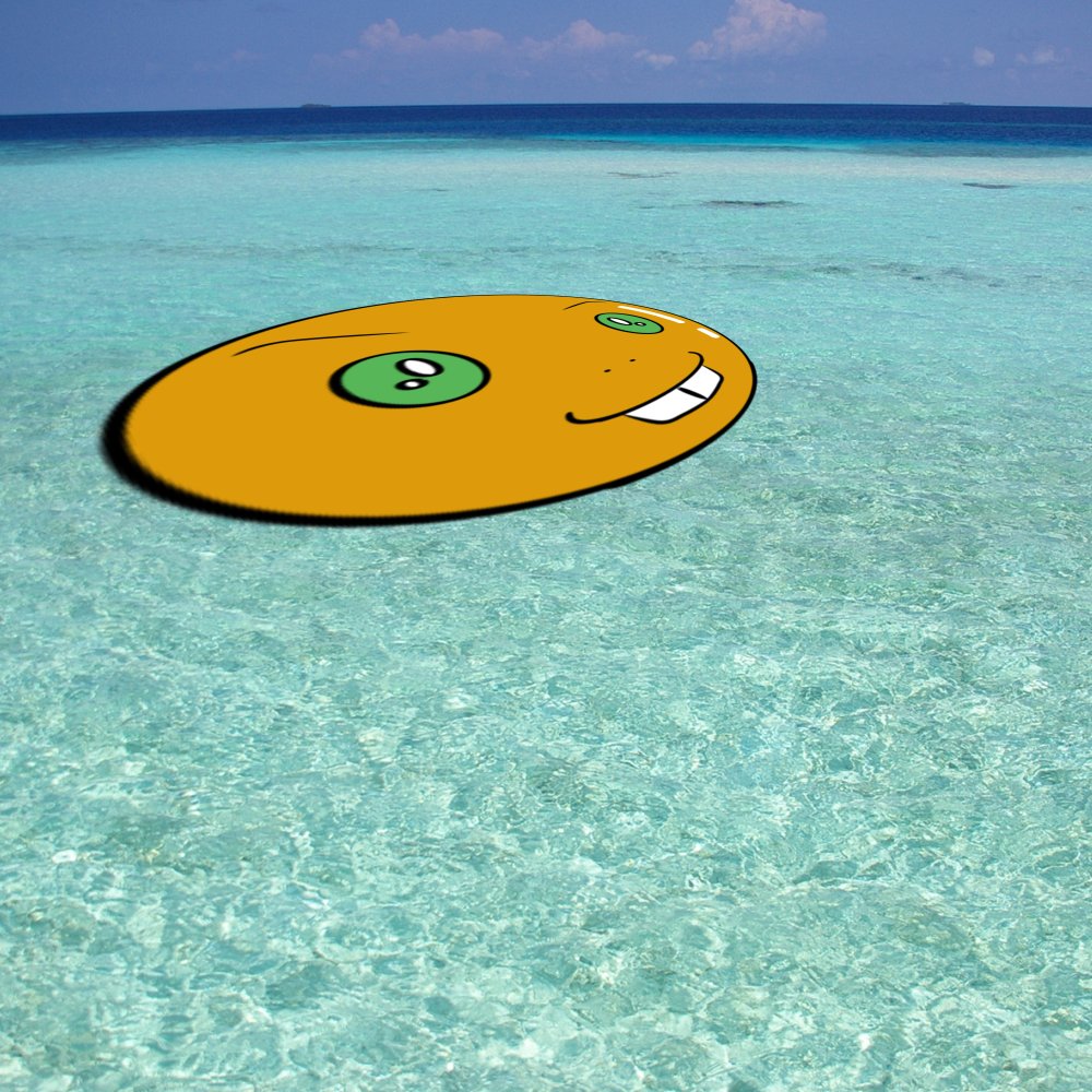 SeeGeese's tweet photo. #WorldOceanDay
#Happyturtle https://t.co/uIMhnDJL6N