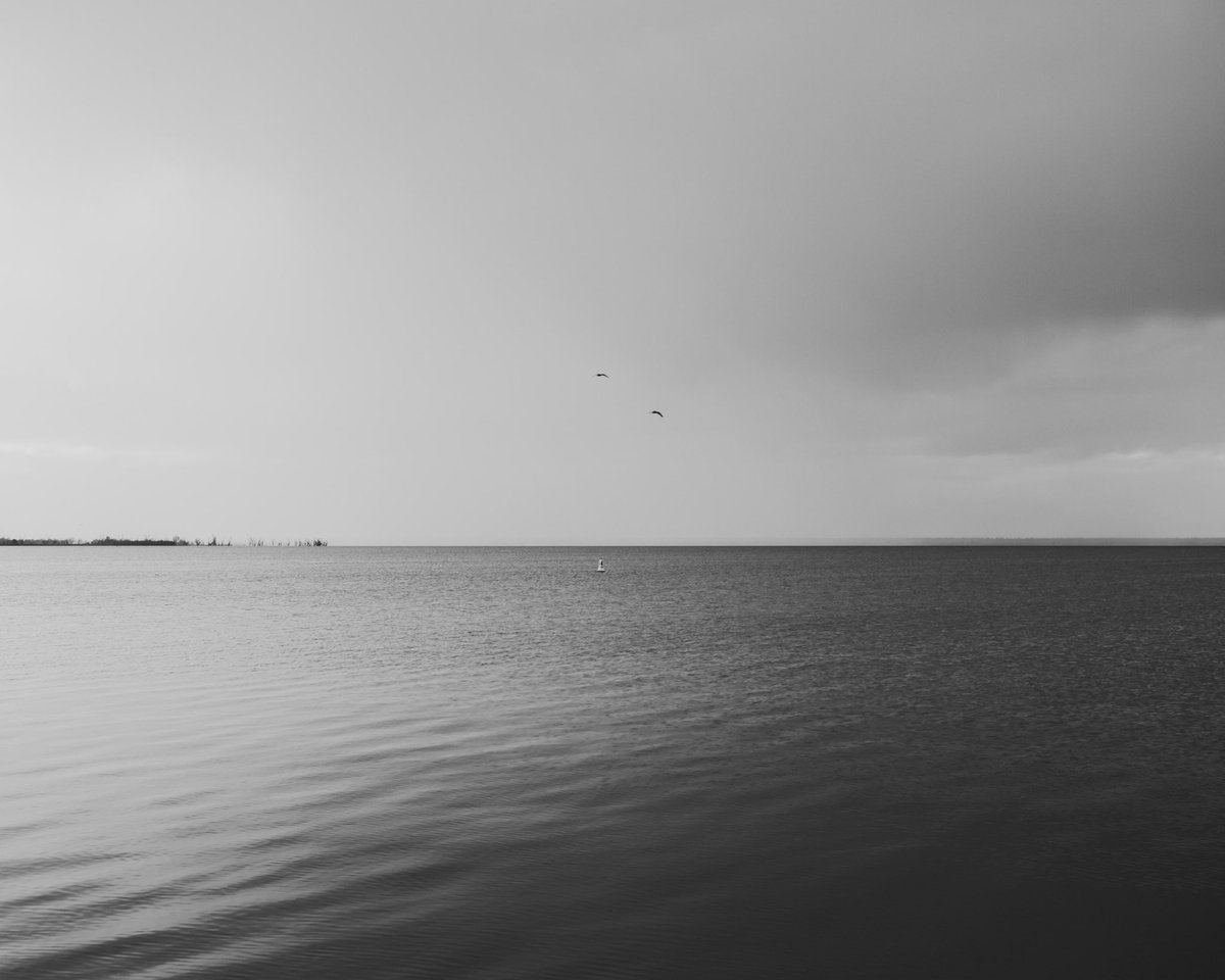 Took me long enough but I’m finally actually happy with the photos I’ve been taking lately.