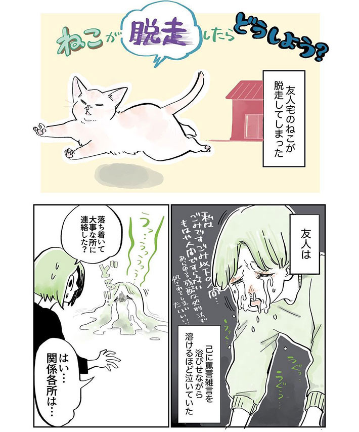 友人宅の猫が脱走! 号泣する友人が『打った手』は? https://t.co/ZfBVInsqJc @grapeejpより 