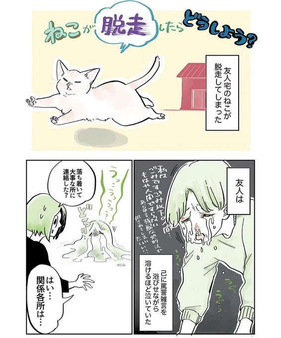 友人宅の猫が脱走! 号泣する友人が『打った手』は? https://t.co/ZfBVInsqJc @grapeejpより 