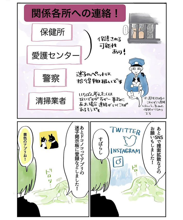 友人宅の猫が脱走! 号泣する友人が『打った手』は? https://t.co/ZfBVInsqJc @grapeejpより 