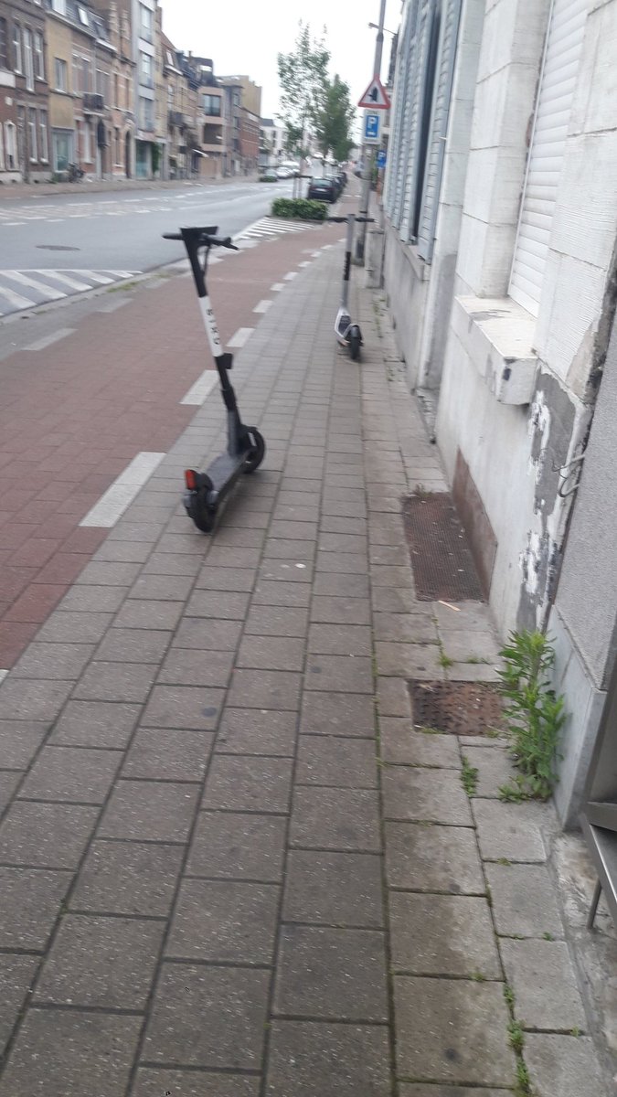 Art_Ritis's tweet image. De zomer komt er aan. 
"Artuur, hoe weet je dat?"
Omdat die irritante #deelsteps weer uit de grond komen gegroeid. Een #dropoffpoint zou geen slecht idee zijn. @8500Kortrijk