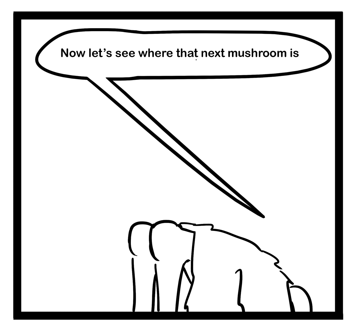 <a href="/_Unexpectables_/">The Unexpectables</a> 

I hope this is the cannon art for Master Point-Hat

#TheUnexpectables