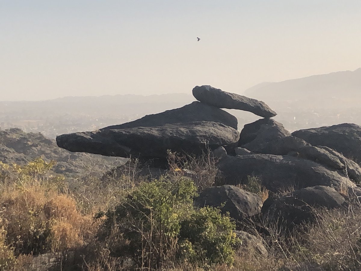 ZiggySanda tweet media