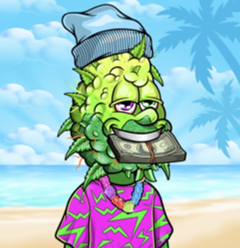 Check this new NFT @bestbudsnfts <a href="/solana/">Solana</a>