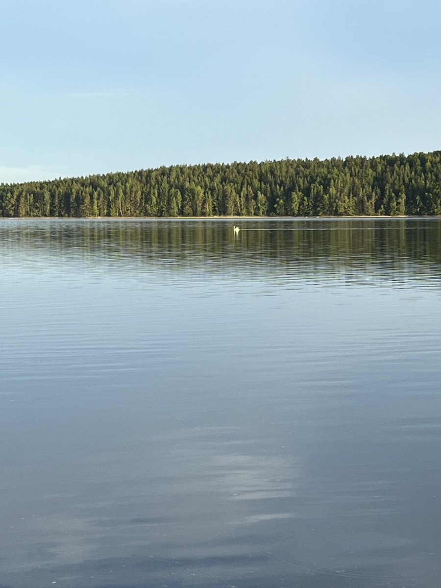 joksala's tweet photo. Kyllä taas kelpaa, kun on kesä☀️😎 https://t.co/S8zjENmviP