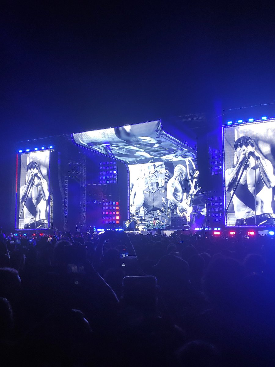 Pau Roig tweet media