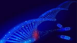 AngelCharrette's tweet photo. Great opportunity to attend the Conference Cell Gene therapy scheduled on June 27-28,2022 #London #UK 
#Genetics #genetherapy #CELL #mutations #stemcells #Cellbiology #Cancercells #nanotechnology #agriculture #biomarkers #Cellcycle 
URL : https://t.co/X3rw6FpzLv    
+443308187921 https://t.co/yiyi5kYvU9
