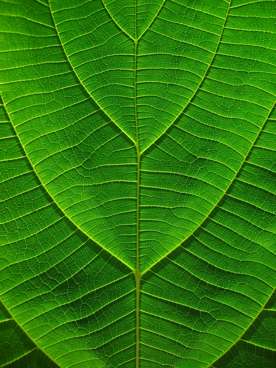 #Hydrogen market evolution to mirror #LNG market growth: InterContinental Energy
🔸Project finance, 20-year plus contracts to become the norm
🔸More demand than supply in market, #Korea/#Japan drive growth
okt.to/UTntjV
<a href="/ericyep/">Namecanbeblank</a> <a href="/ivyyin14/">Ivy Yin</a>  #EnergyTransition