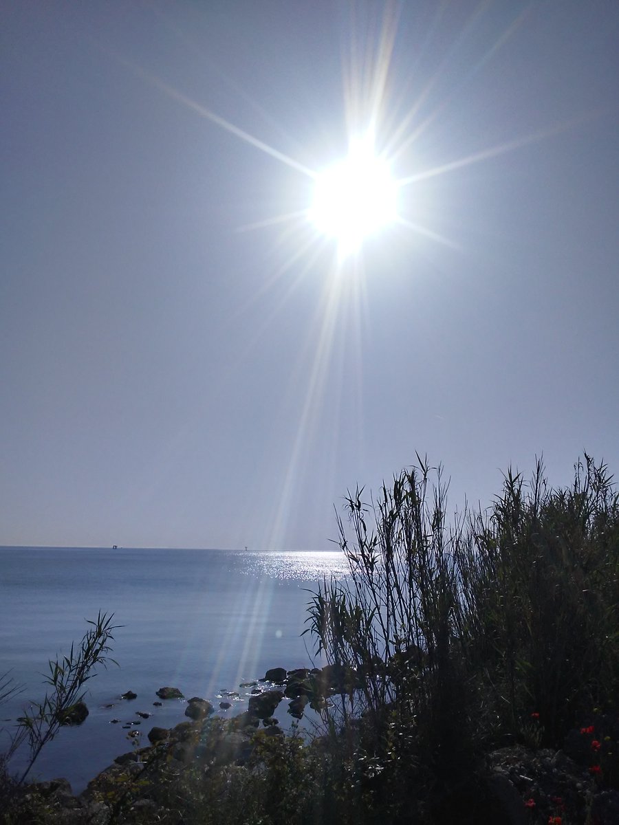 <a href="/BlueCalb/">Madame Barbara</a> Una felicità che lascia impronte indelebili nel cuore, ricordi che rifarei mille volte per dare respiro all'anima.
Meraviglioso giorno per te cara amica e grazie.